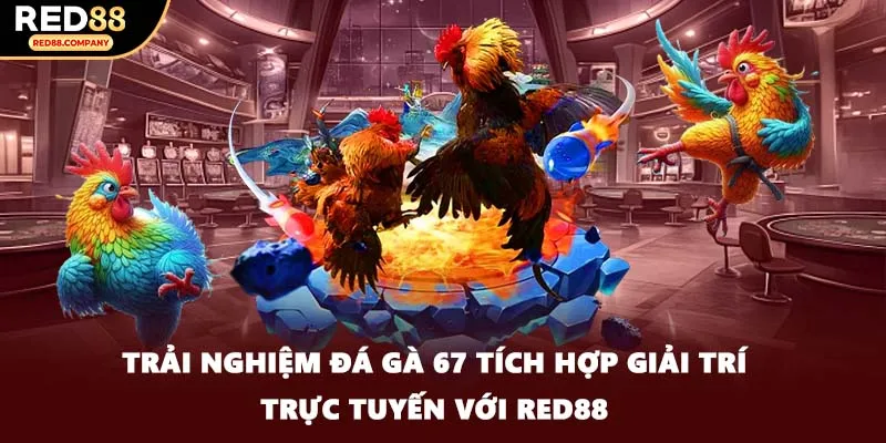 Trải nghiệm đá gà 67 tích hợp giải trí trực tuyến với RED88