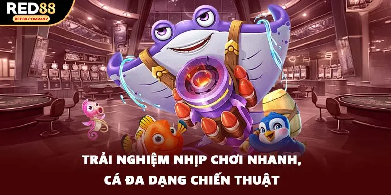 Trải nghiệm nhịp chơi nhanh, cá đa dạng chiến thuật