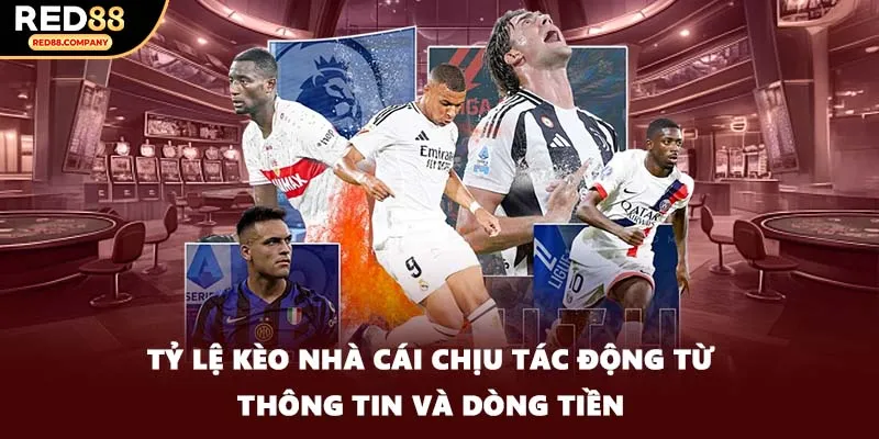 Tỷ lệ kèo nhà cái chịu tác động từ thông tin và dòng tiền